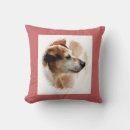 Search for jack russell terrier cushions Pet