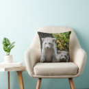 Search for raccoon cushions Animal