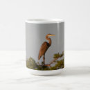Search for great blue heron mugs Wildlife photography