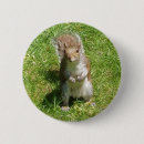 Search for squirrel picture badges Nature