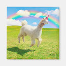 Search for under 5 magnets Rainbow