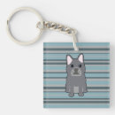 Search for grey stripe square key rings Striped