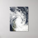 Search for ashore art White