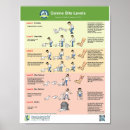 Search for behaviorism posters Animal