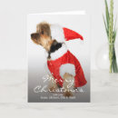Search for yorkshire terrier christmas cards Cute
