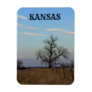 Search for tree landscape magnets Colourful