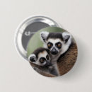Search for be the lemur badges Primate