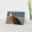 Search for bald eagle birthday cards Raptor