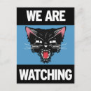 Search for watching postcards Cat