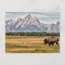 Search for grand anniversary cards jackson hole