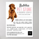 Search for pet store Cats