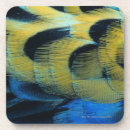 Search for 4 coasters Yellow