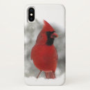 Search for cardinals iphone cases Wildlife