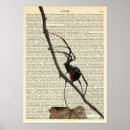 Search for black widow spider art Gothic