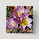 Search for crocuses accessories Nature