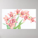 Search for pinks posters Green
