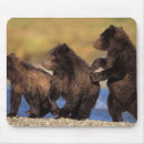 Search for steve mouse mats Baby