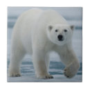 Search for adults tiles Animal