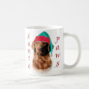 Search for chesapeake bay retriever mugs Animals