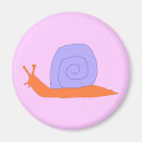 Search for mollusks magnets Shell