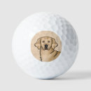 Search for golden retriever golf balls Drawing