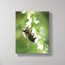 Search for bumble bee canvas prints Nature