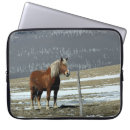 Search for livestock cases Pasture