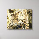 Search for animal leopard print canvas prints Cute