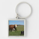 Search for large image key rings Animal