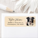 Search for border collie return address labels Watercolor