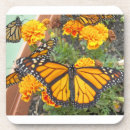 Search for easter coasters Butterfly