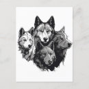 Search for wolf pack postcards Wolves