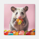 Search for possum magnets Wildlife