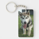 Search for alaskan malamute key rings Puppy
