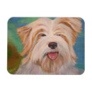 Search for terrier magnets Animal lovers