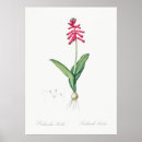 Search for flower illustration posters Plants