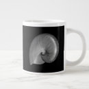 Search for white shell mugs Ocean