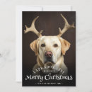 Search for text christmas cards Funny