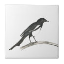 Search for magpie tiles Animal
