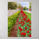 Search for bulb posters Nature
