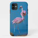 Search for pink flamingo iphone cases Flamingoes