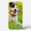 Search for dog with stick electronics Animal