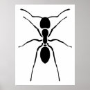 Search for ant posters Entomology