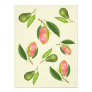 Search for avocado posters Retro