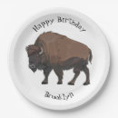 Search for national park paper plates Usa