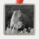 Search for egret christmas tree decorations Florida