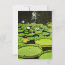 Search for zen thank you cards Nature