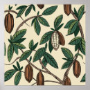 Search for cacao posters Bean