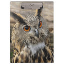 Search for owl photography Nature