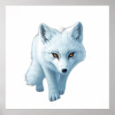 Search for arctic fox posters Winter